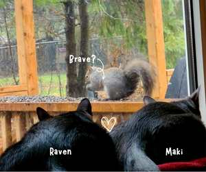 SAVIN' RAVEN | Maple Blueberry Tea for a Cause