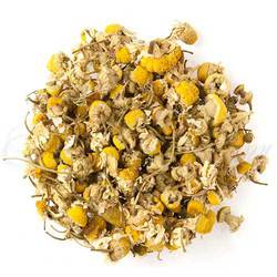 Egyptian Chamomile (Special Selection)