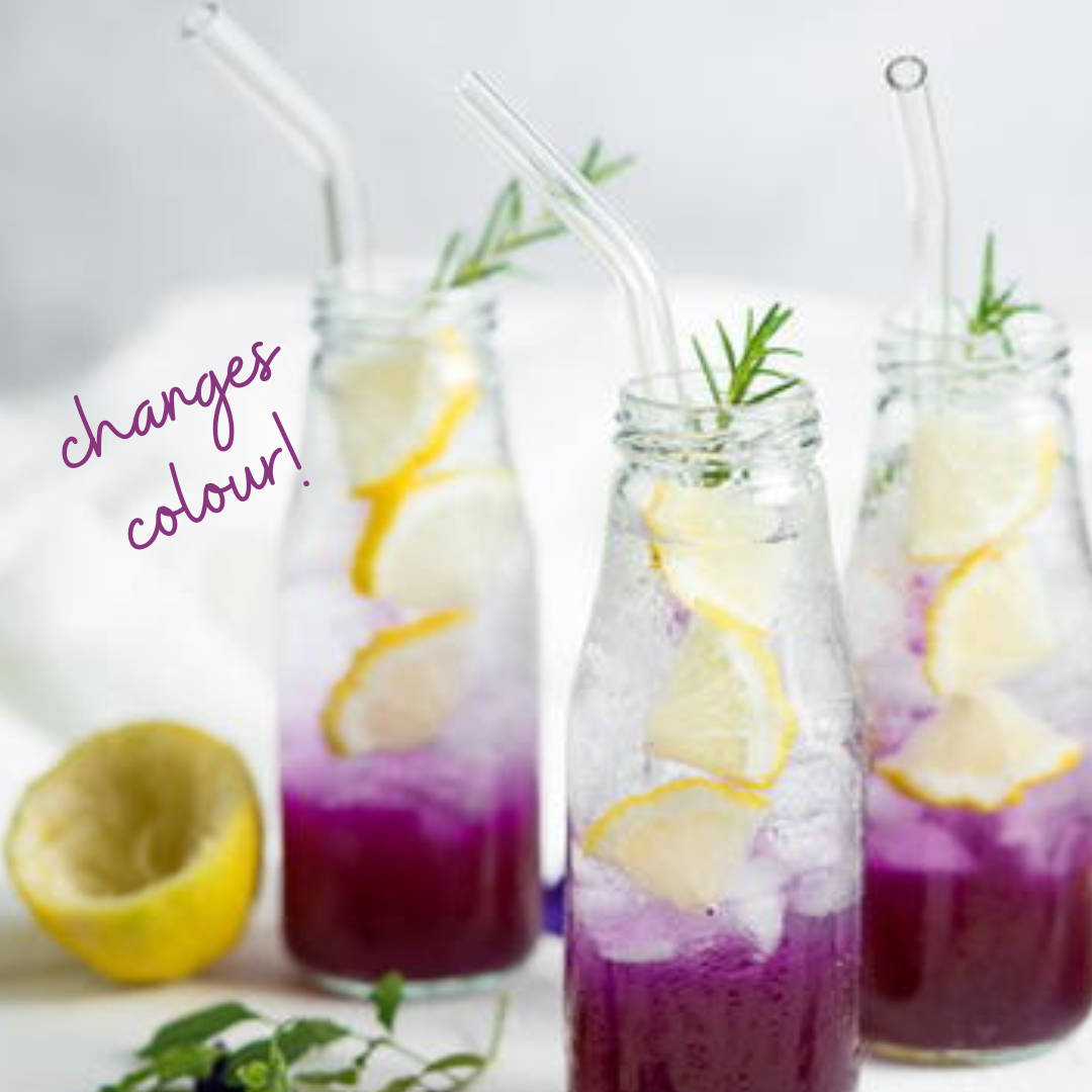 Butterfly Blue Pea Flower – All Things Tea Inc.